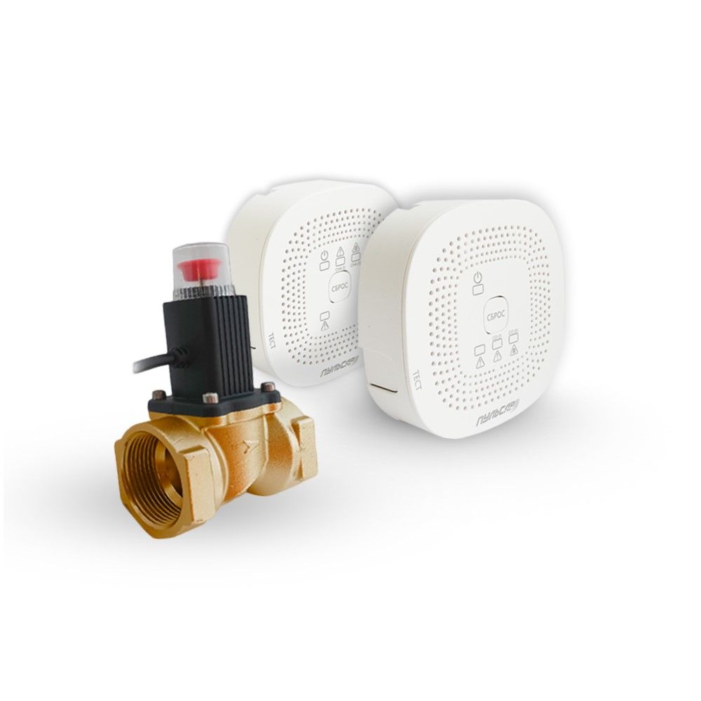 Система автоматизированного контроля загазованности «Пульсар» CO-CH4 c латунным клапаном Ду15 Н00072768