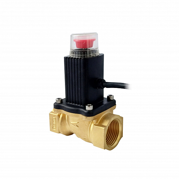 Клапан соленоидный газовый Ду20 латунный Н00072758